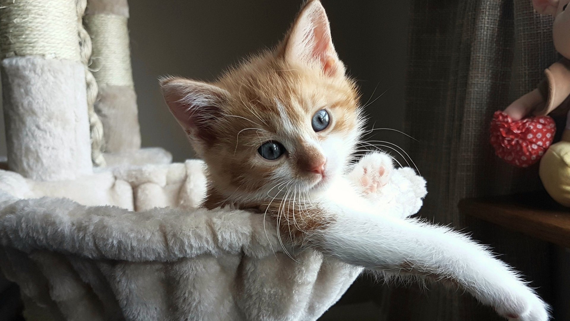 巴西队在2024年南美锦标赛中排名第八，巴西南美世预赛大名单