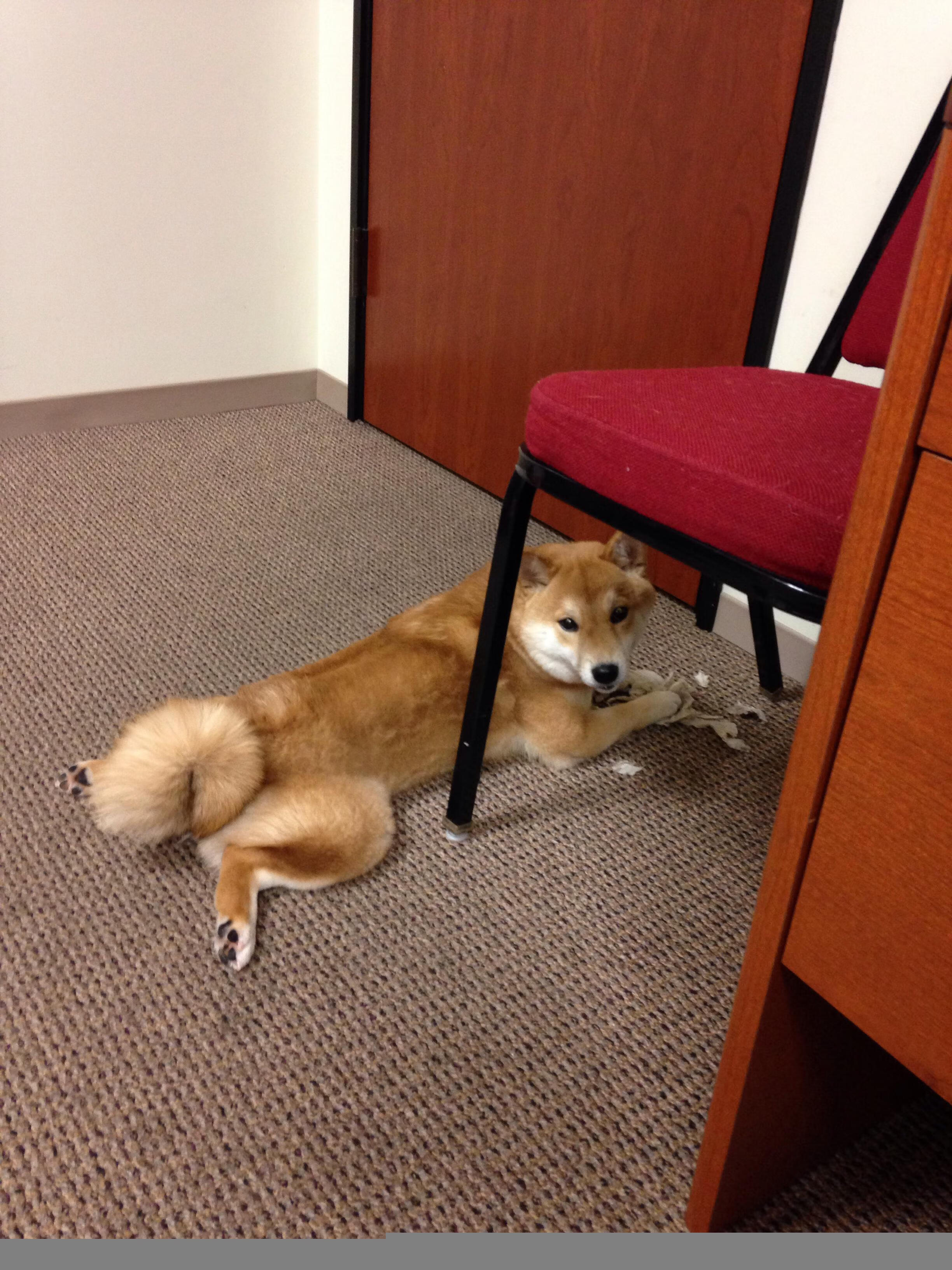 爱游戏官网首页-全国青少年篮球比赛线上线下联动，全民参与热情高涨，全国青少年篮球比赛视频