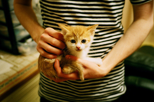 爱游戏全站-利物浦欧冠复仇成功，战胜宿敌晋级！，利物浦欧冠对手