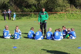 爱游戏体育平台-意甲攻守大比拼：速度与战术的融合！，意甲战术强在哪里